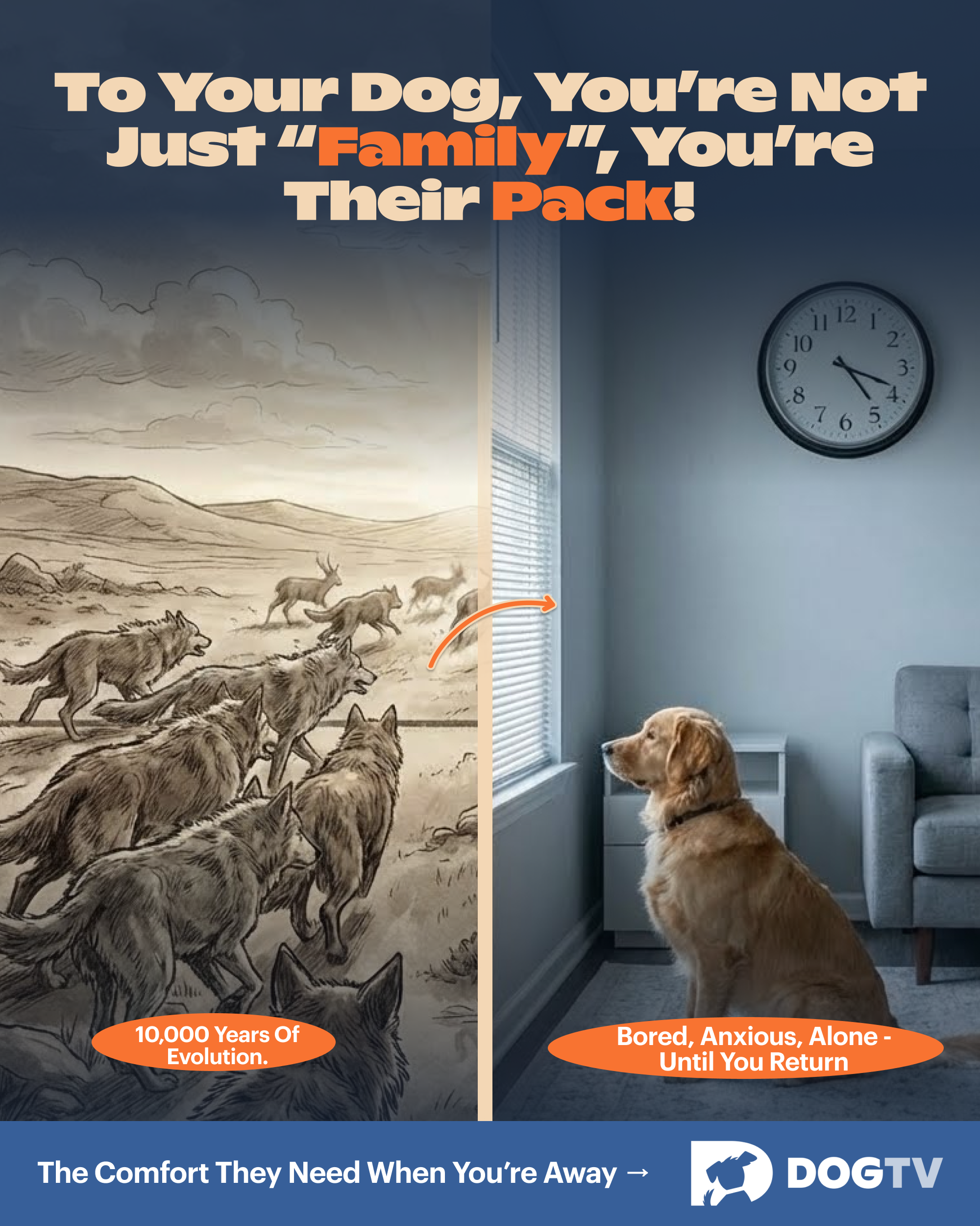 Relaxation static ad