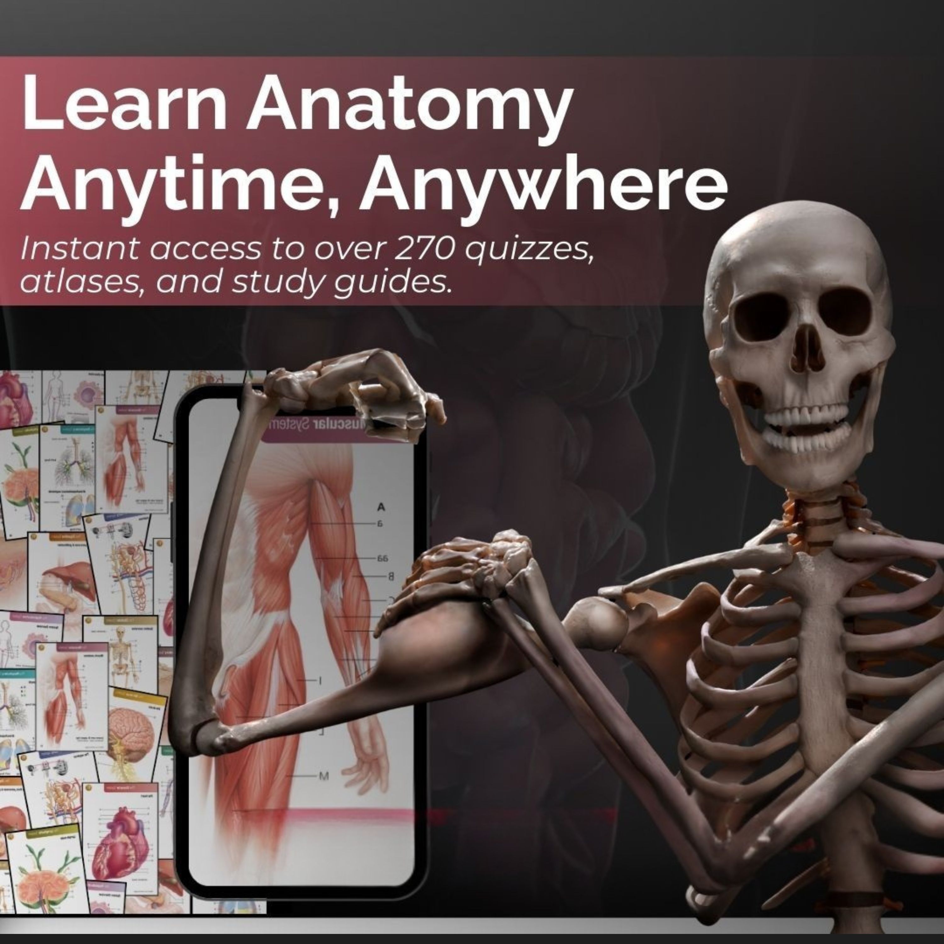 Science-education static ad